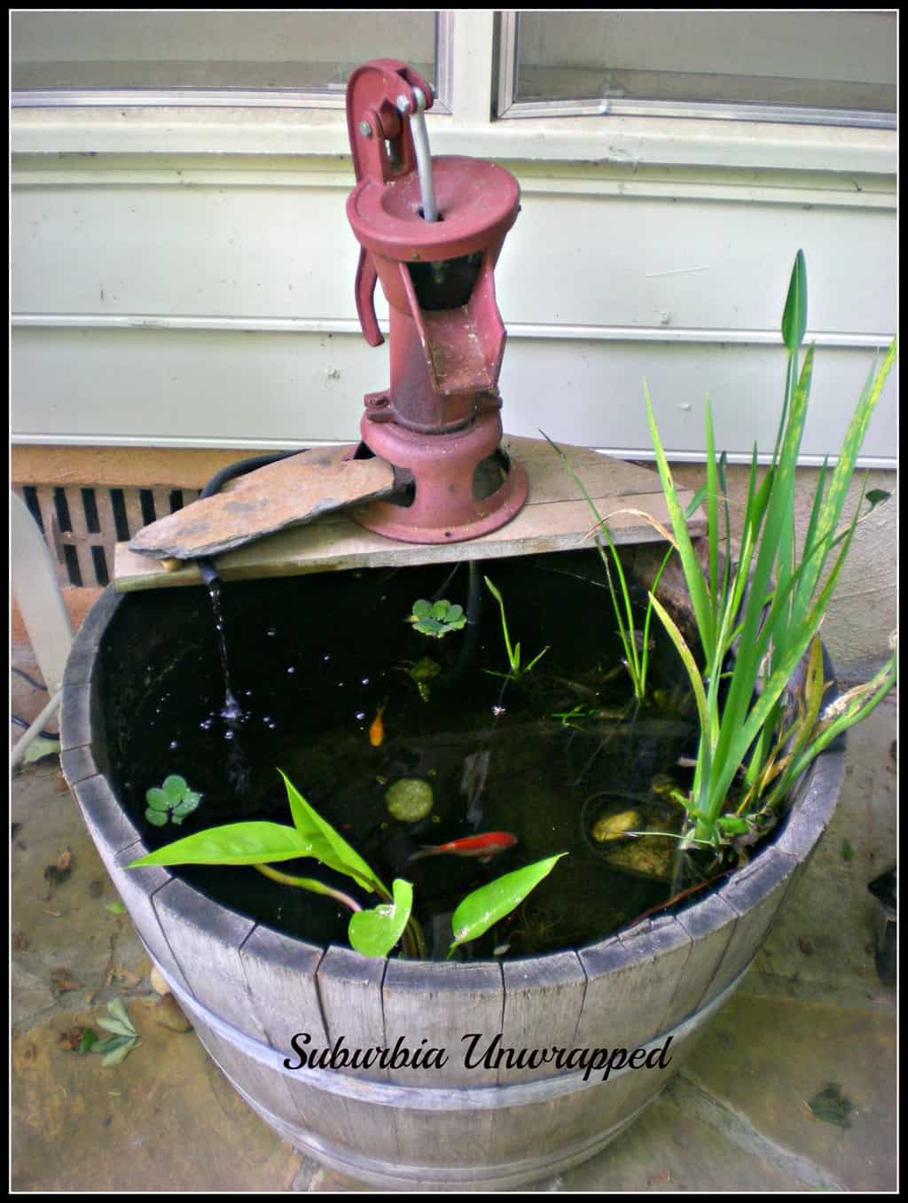 Benefits of adding a water feature to your landscaping