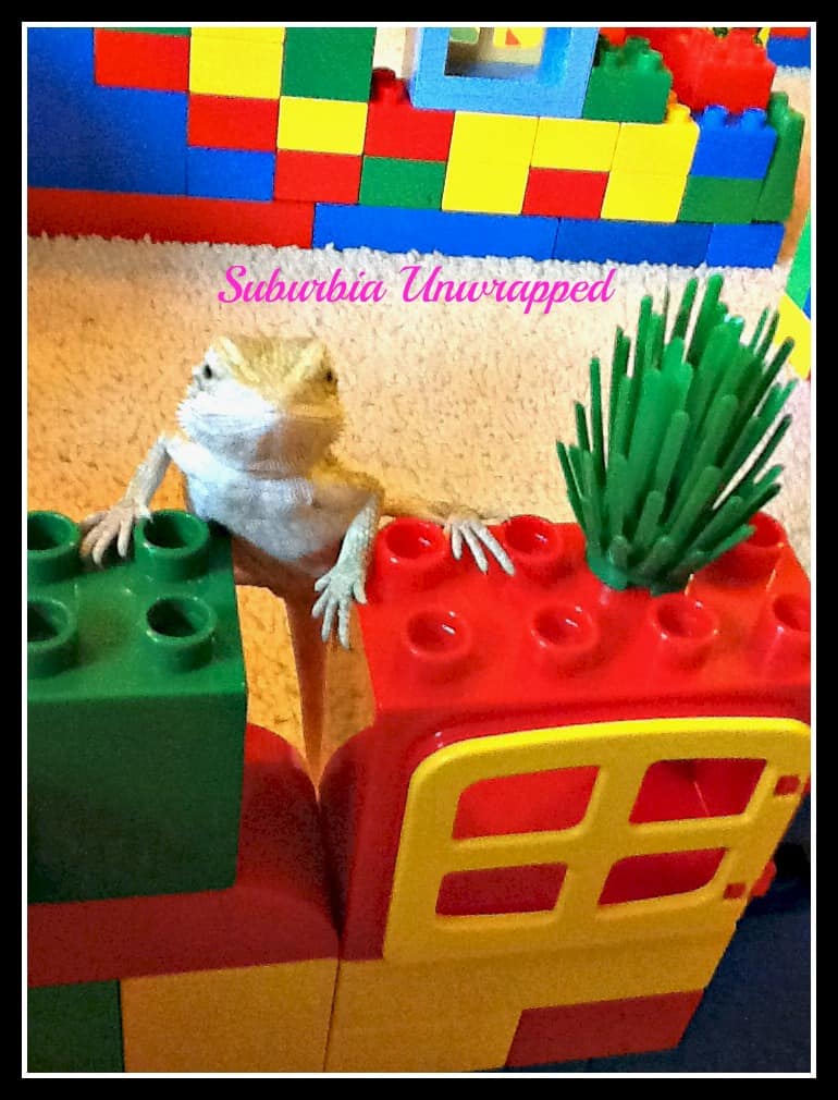 lizards in lego