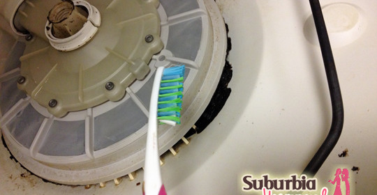 How to Clean Your Dishwasher: The Grimy Reality