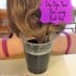 how to dip dye your hair using kool aid