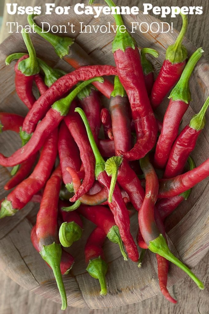 Uses for Cayenne Pepper that don't involve food!