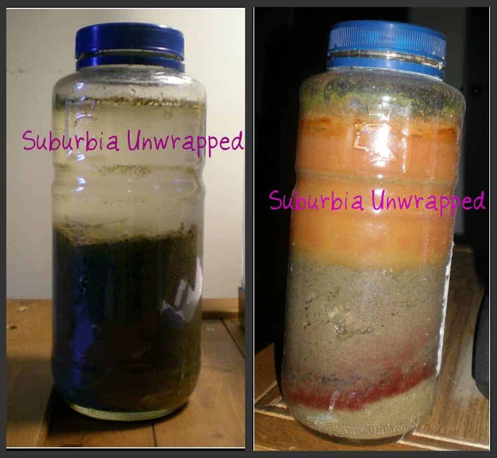 winogradsky column bacteria experiment for kids