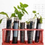 Unique Kitchen Science Experiment for Kids