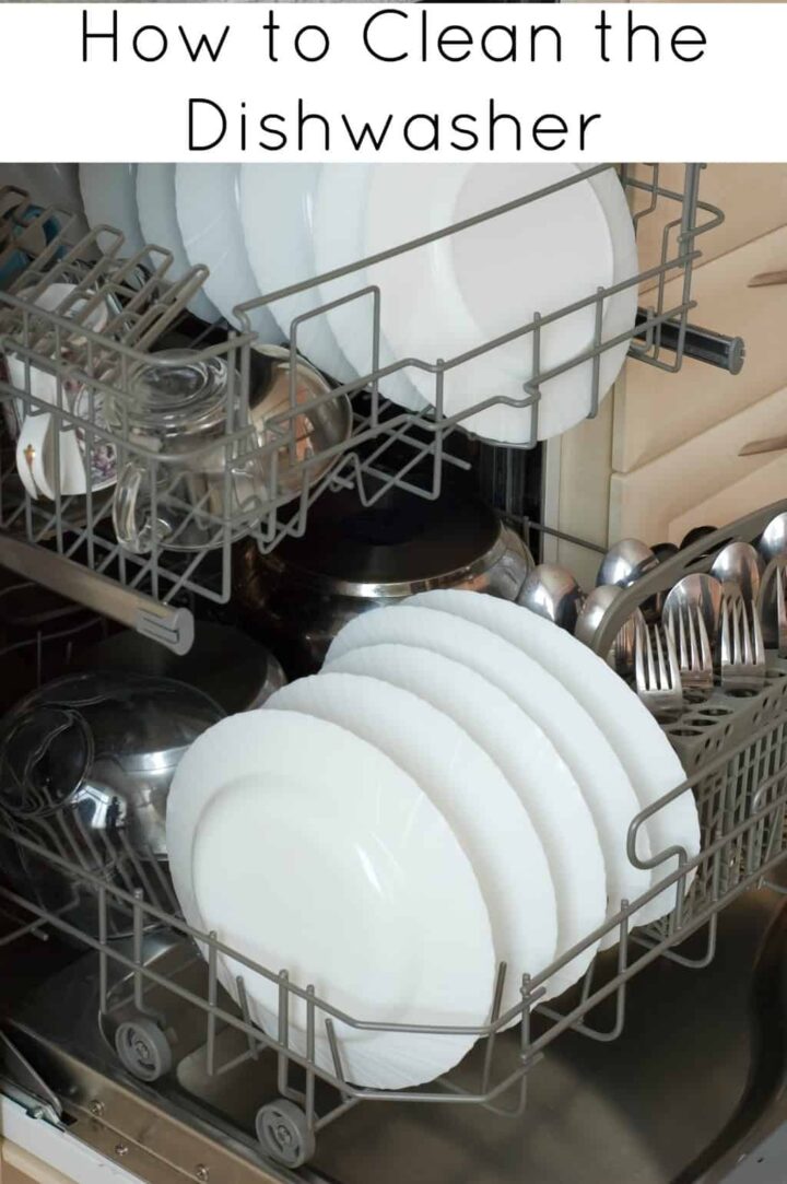 how to clean your dishwasher The Grimy Reality