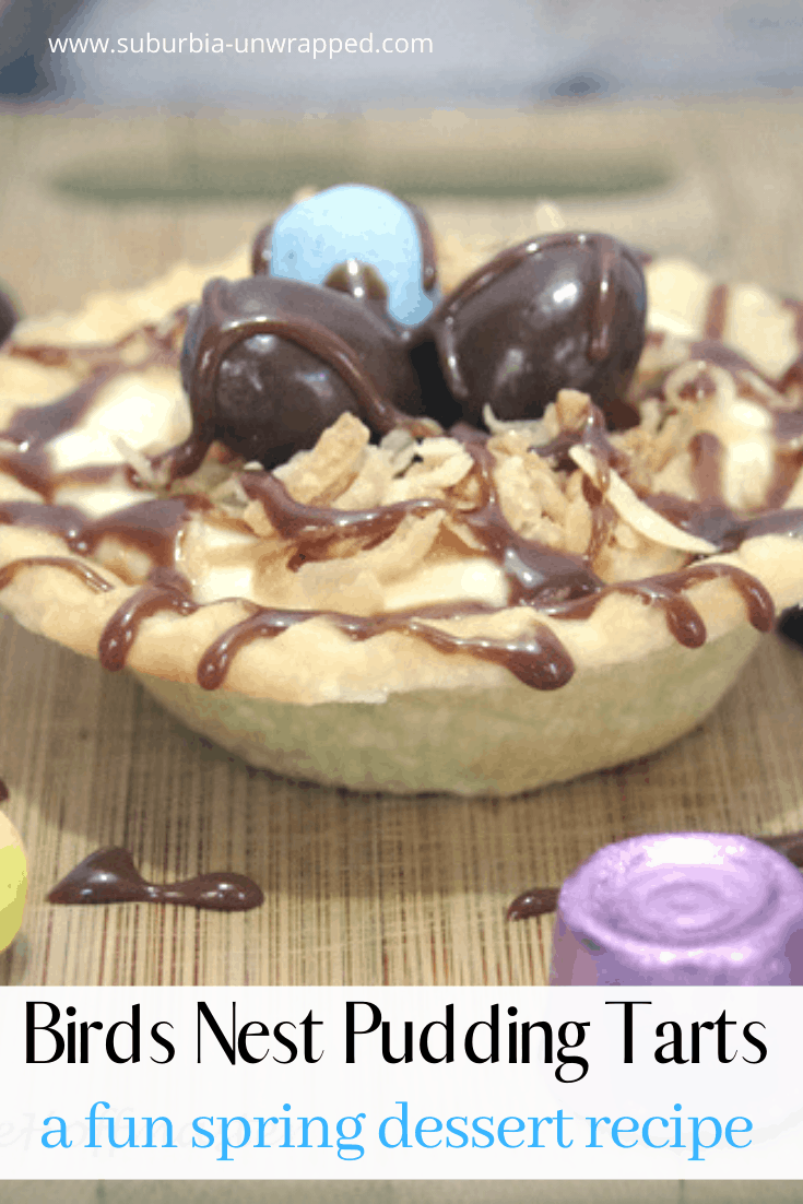 Birds Nest Pudding Tarts are a fun spring dessert recipe