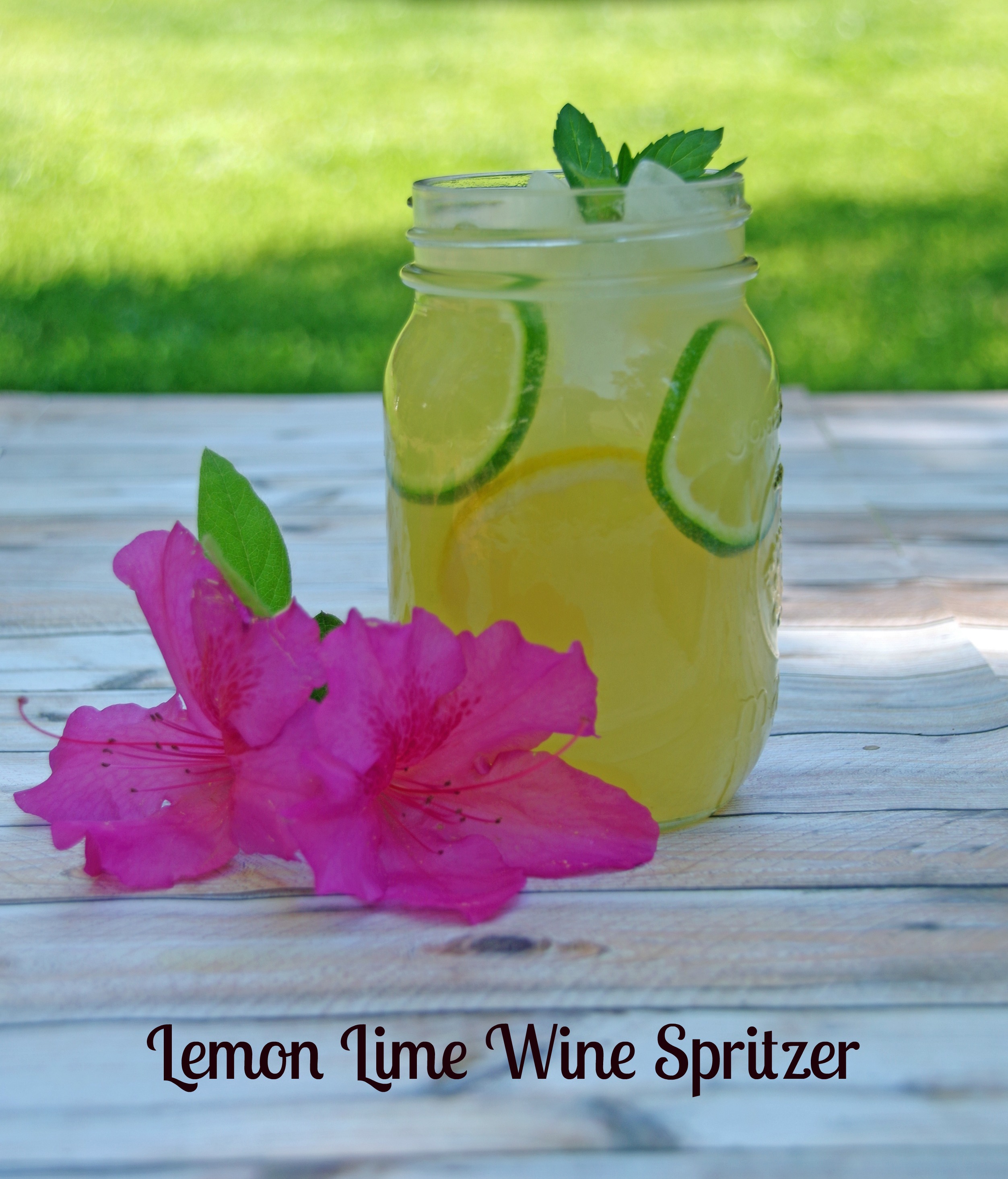 Lemon Lime WIne Spritzer Recipe