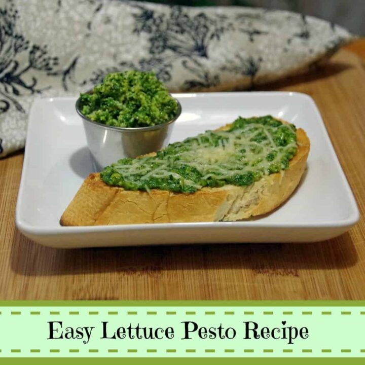 Easy Lettuce Pesto Recipe Suburbia Unwrapped
