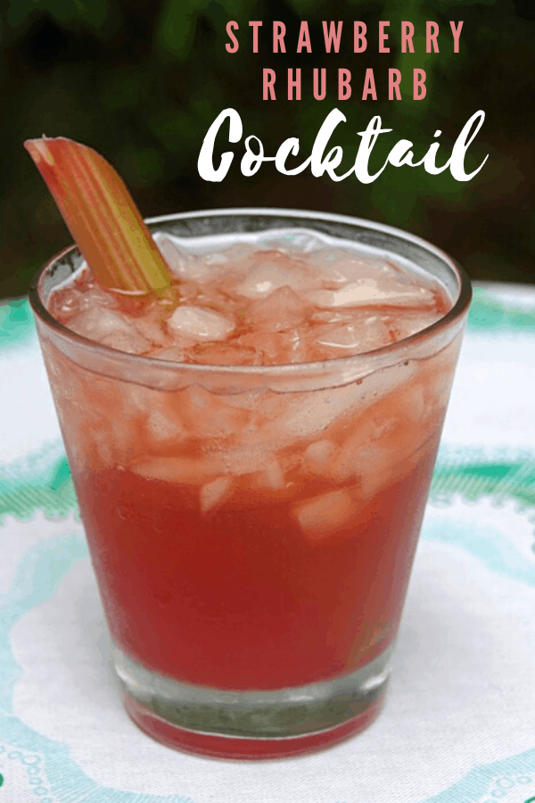 Strawberry Rhubarb Cocktail in a glass with a stalk of rhubarb in it