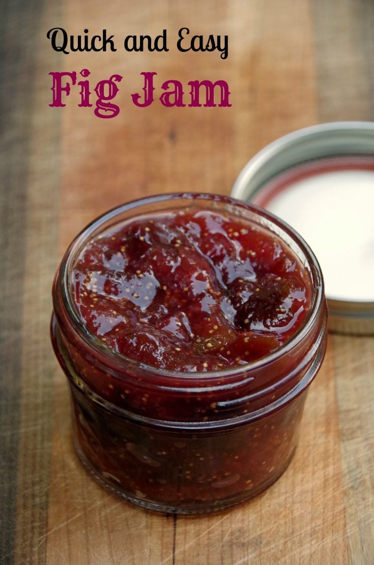 Fig jam is easy make NO - Suburbia