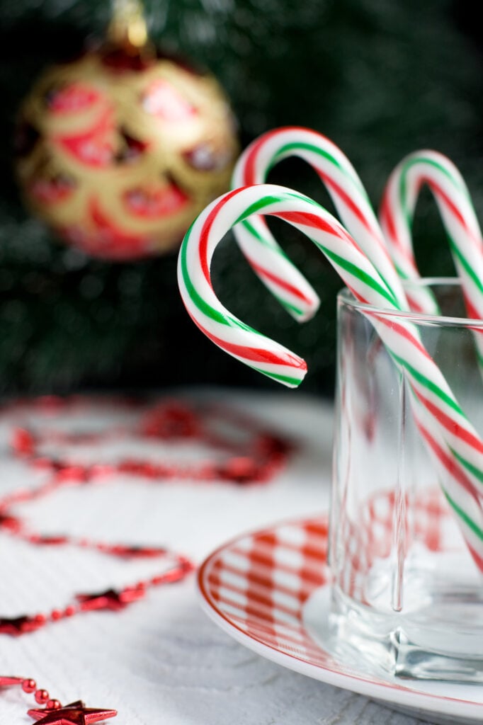 Christmas Candy Canes in a glass and Christmas Tree