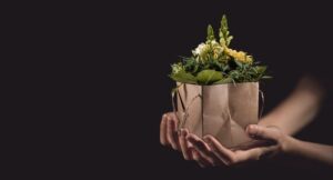 giving flowers