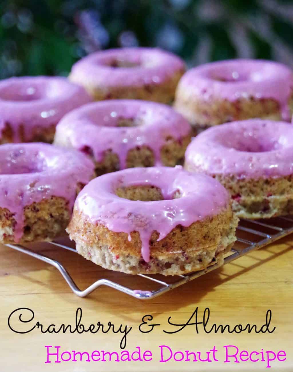 Cranberry Almond Donut Recipe Suburbia Unwrapped
