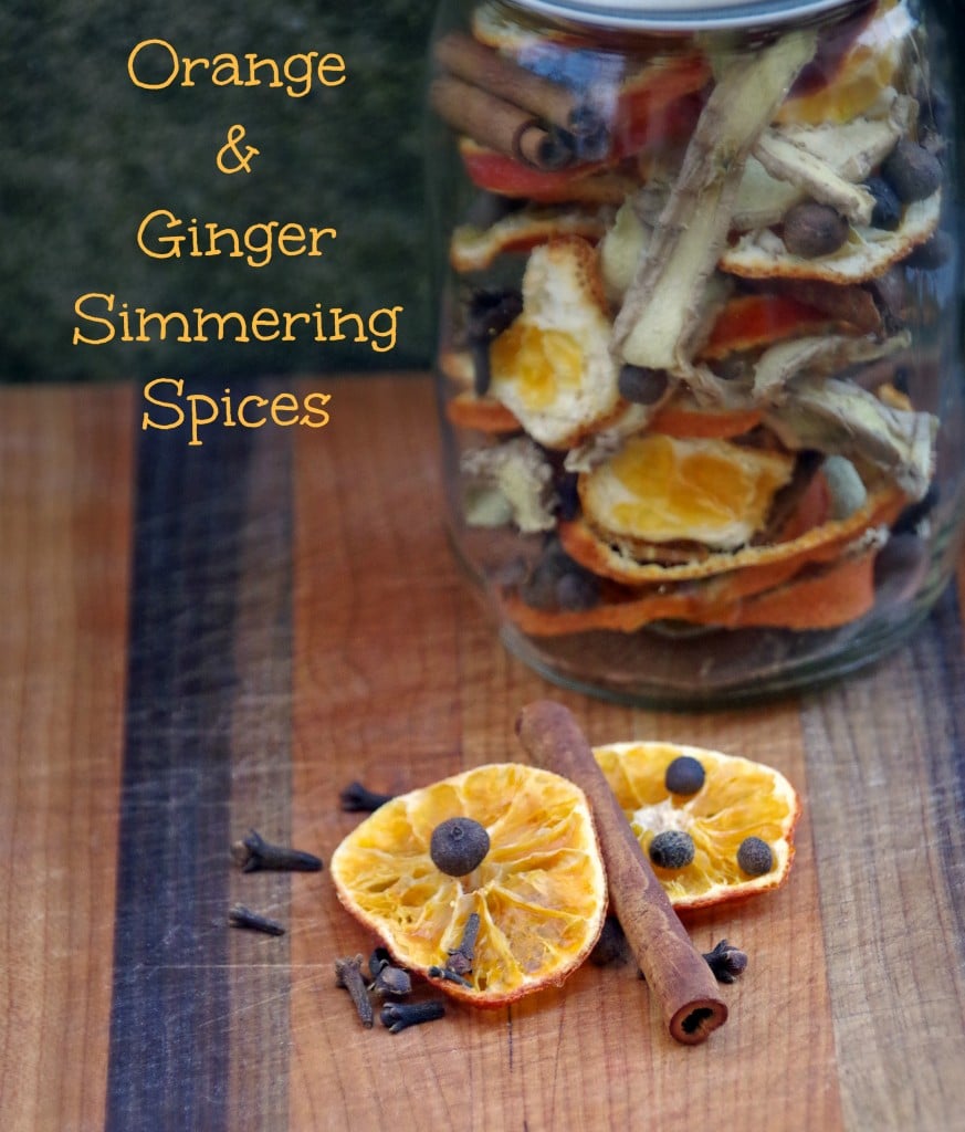 Orange Ginger Simmering Spices 6