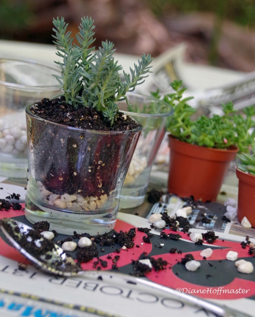 Upcycle Candle Jars into a cute DIY succulent garden. Easy gardening craft you can even do with the kids!