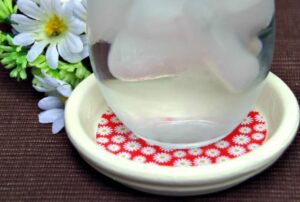 DIY Terra Cotta Coasters Give Your Table a Fresh Look for Spring!