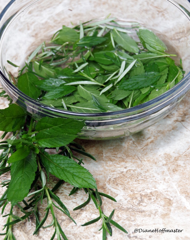 DIY Rosemary Mint Facial Toner for Better Summer Skin Care