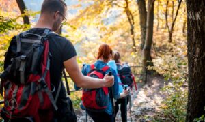 family hiking together in the woods with teenagers