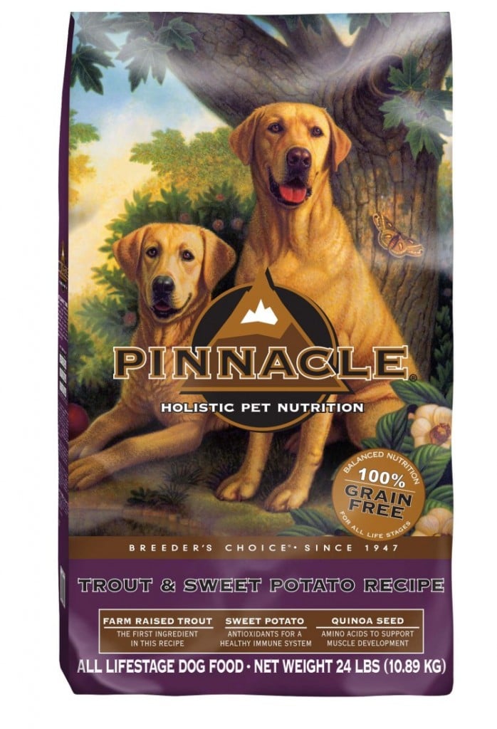 Staying Active with your pets and #PinnacleHealthyPets