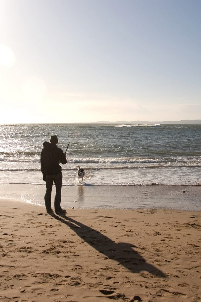 dog and person playing on the beach in cold weather