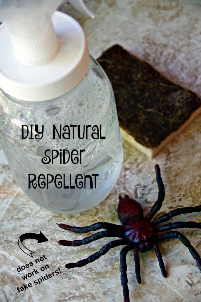 Use A Dehumidifier