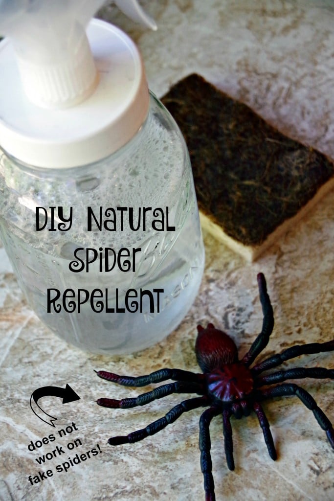 DIY Natural Spider Repellent Spray to Keep Spiders out of the House