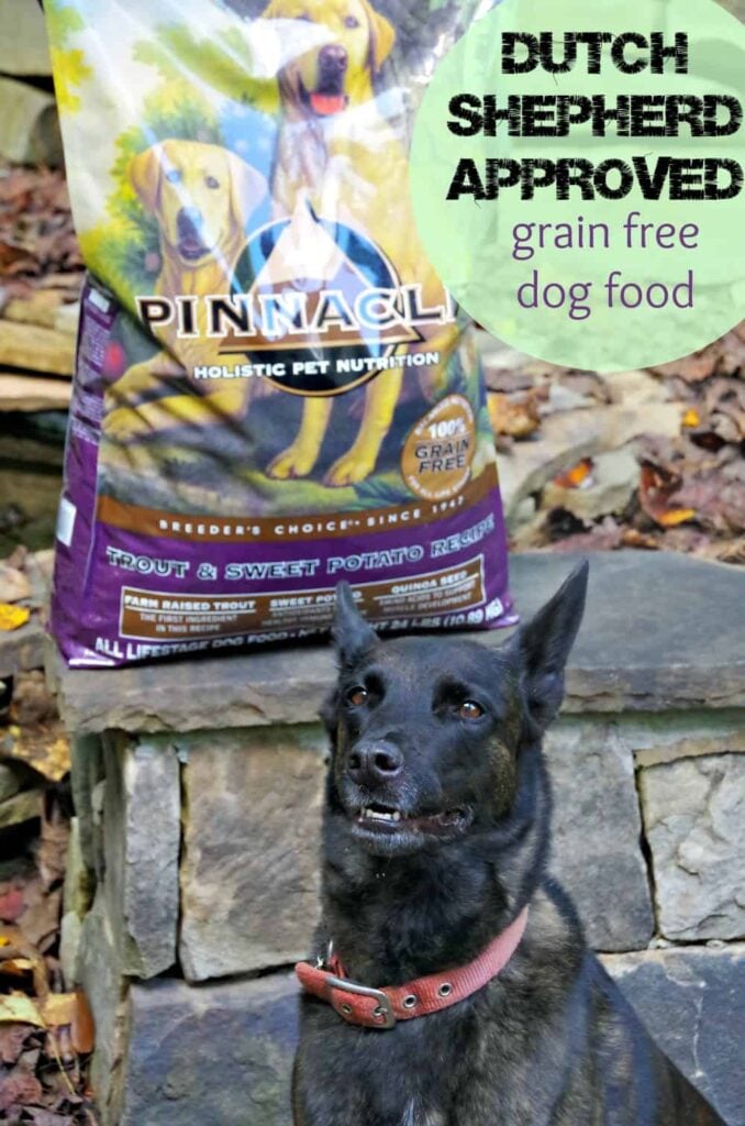 Pinnacle Grain free dog food for my Dutch Shepherd