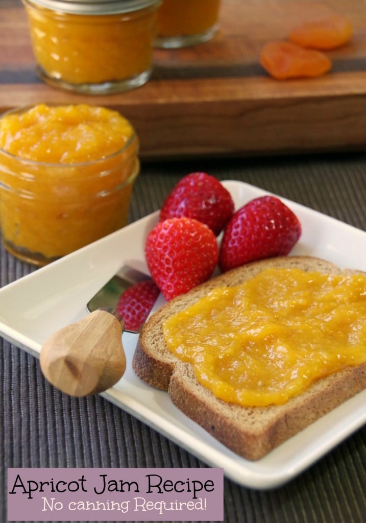 Best Healthy Breakfast Recipes Apricot Jam