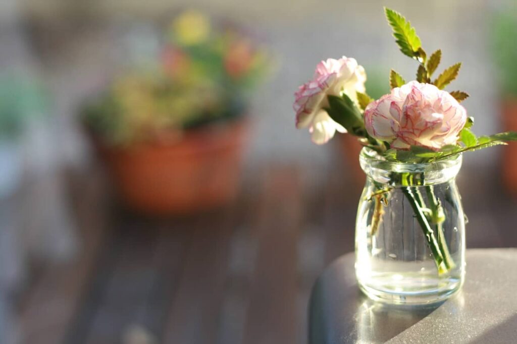 How to Make Flowers Last Longer Once You Cut Them