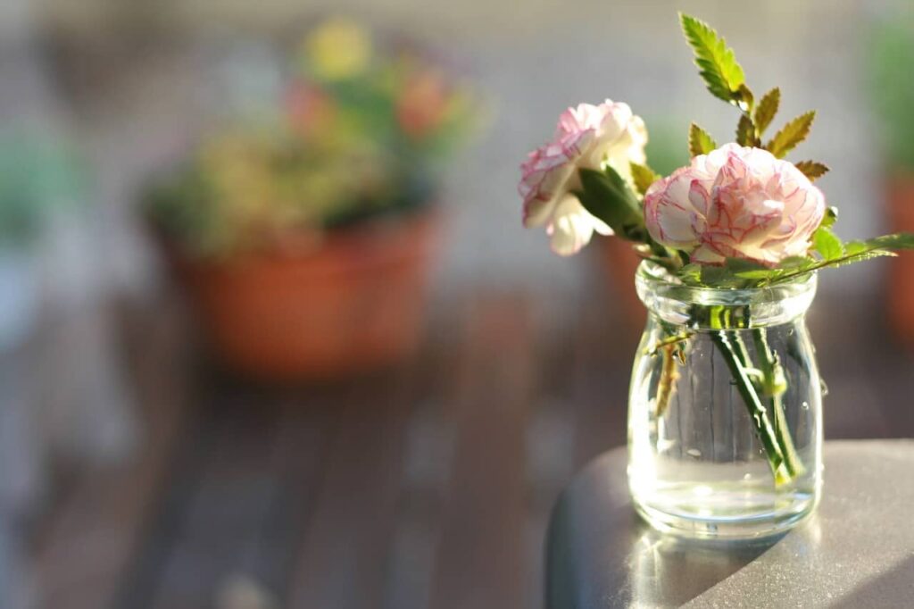 How To Make Flowers Last Longer Once You Cut Them Suburbia Unwrapped