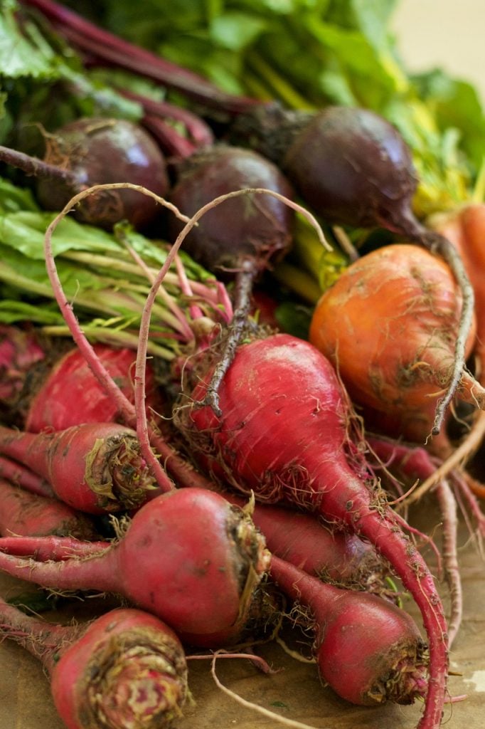 fresh beets from the garden