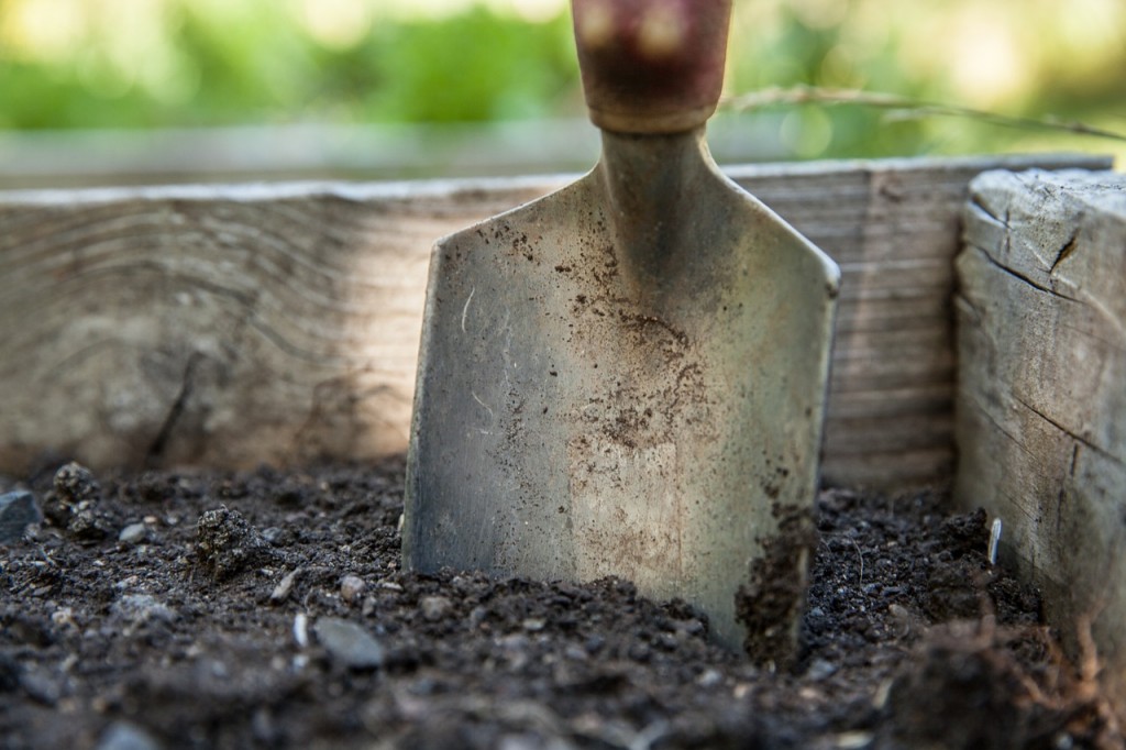 Why build a backyard garden