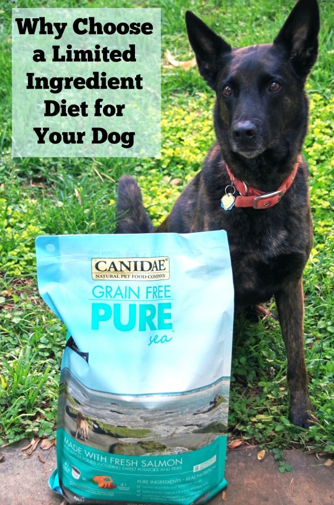 Choosing a Limited Ingredient Diet for Your Dog # HealthyPetHappyPet