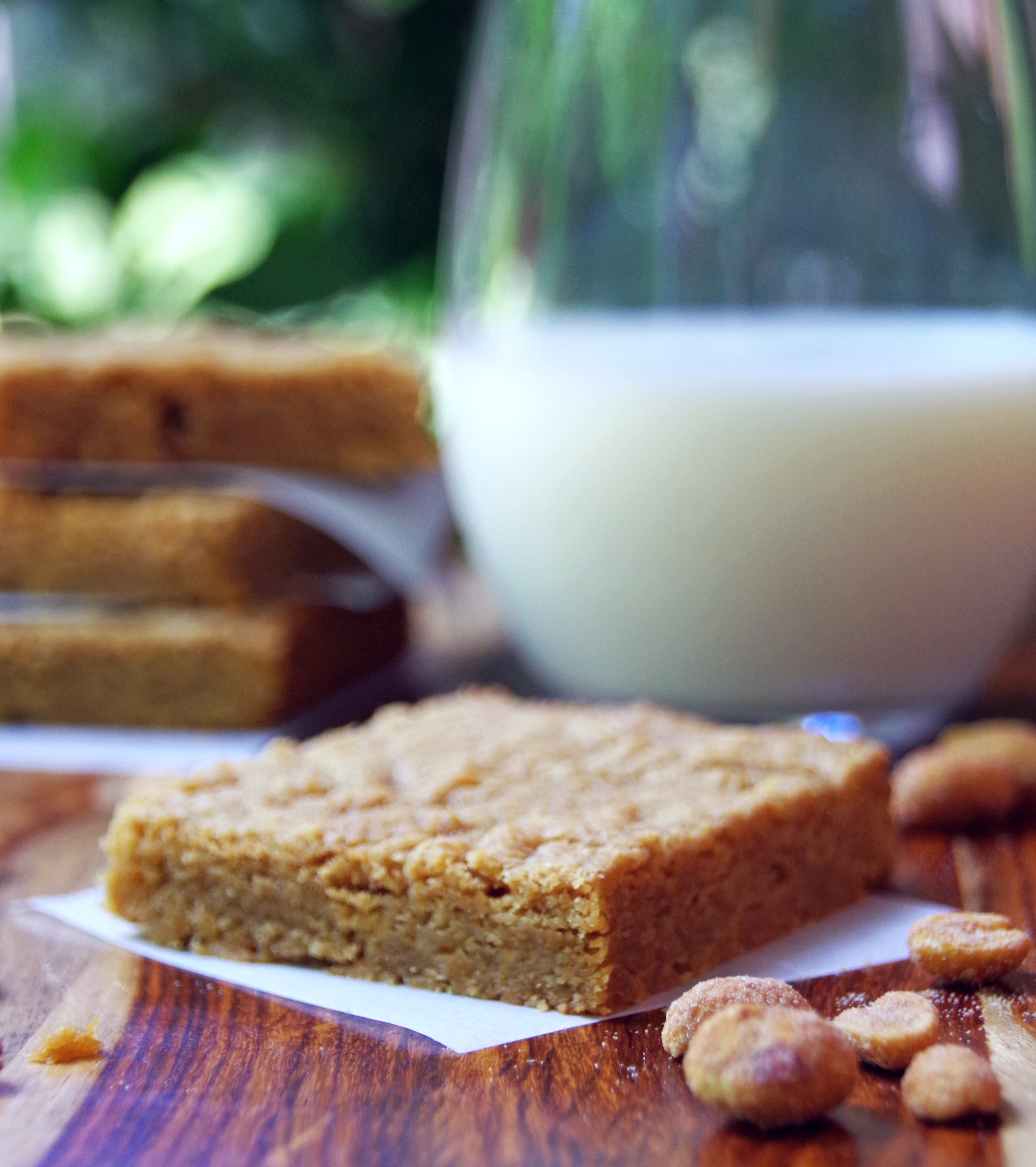 This Peanut Butter Blondies Recipe is a quick and easy dessert recipe for anyone who loves peanut butter!