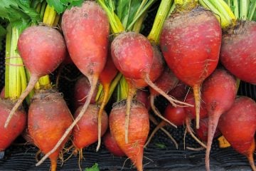 How to Roast Fresh Beets for Maximum Flavor