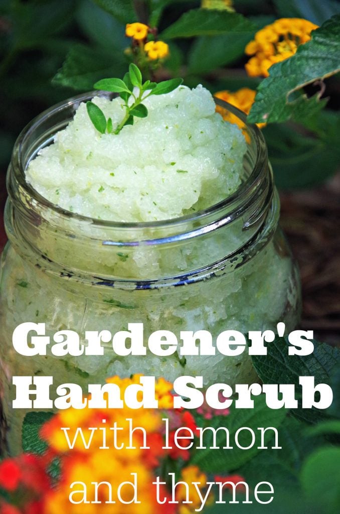 Lemon and Thyme Gardener Hand Scrub Recipe