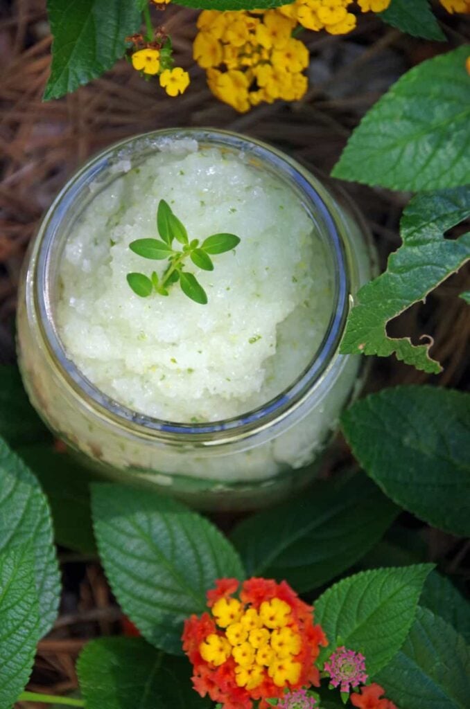 Lemon and Thyme Gardener Hand Scrub Recipe - Suburbia Unwrapped