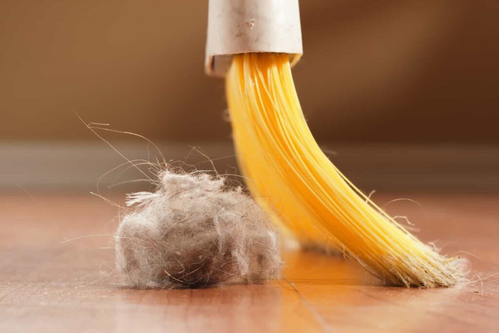  Reduce Dust in Your House with These Easy Cleaning Tips