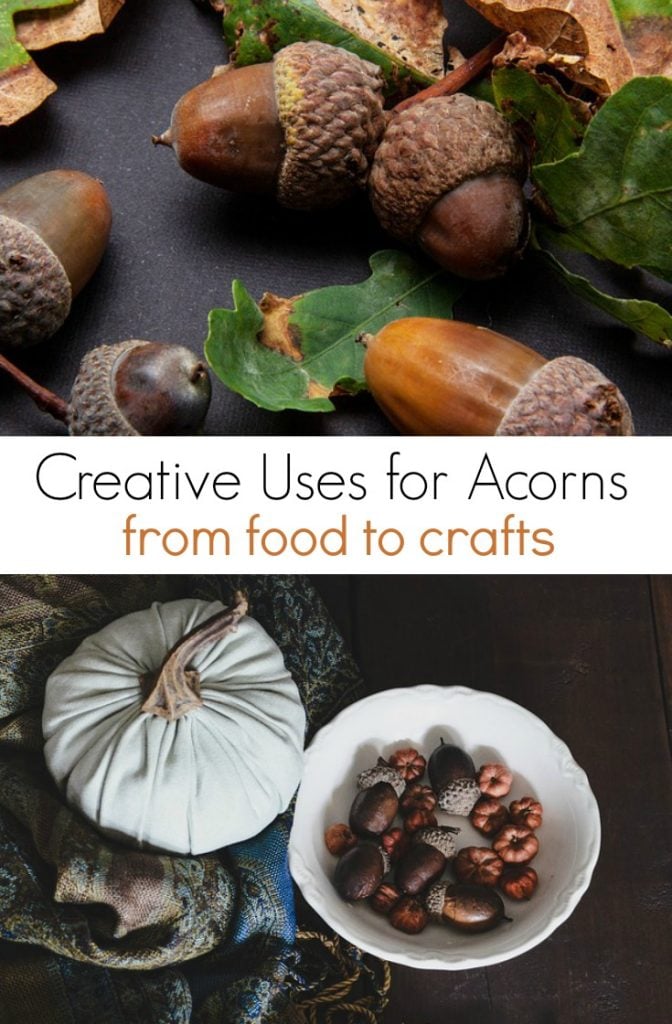 collage of acorn photos with text overlay 'creative uses for acrons from food to crafts'