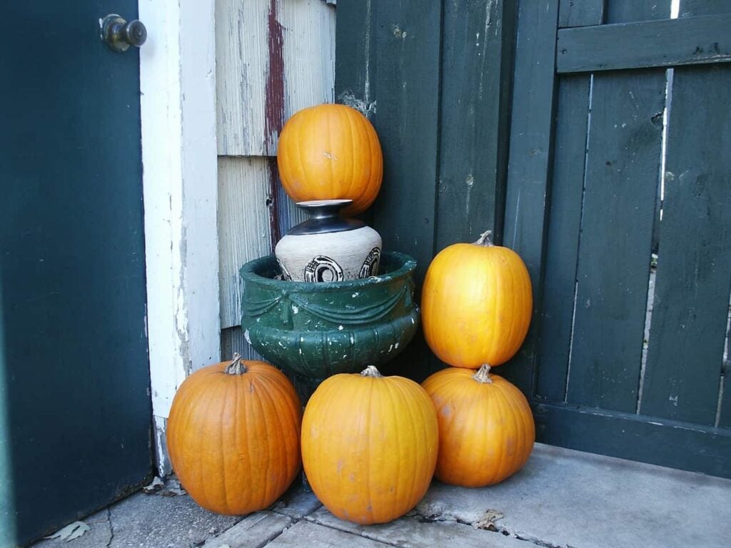 Fall Outdoor Decorating Ideas that won't break the bank.