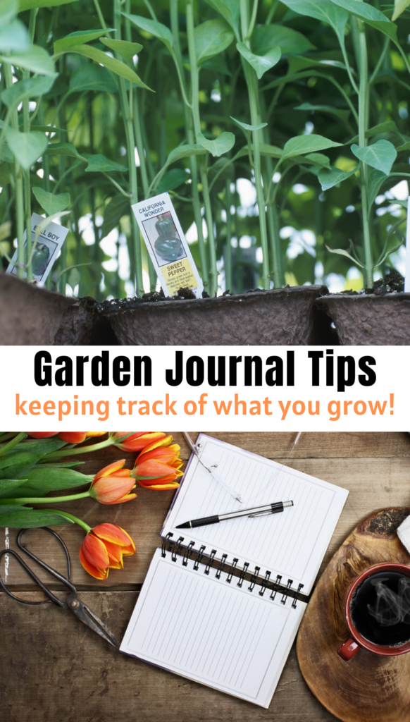 Garden Journal Tips and keeping track of what you grow!