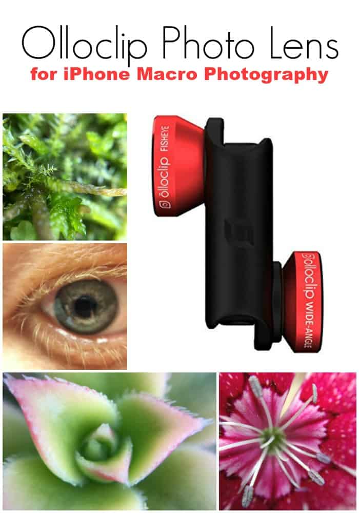  Olloclip Photo Lens for iPhone Macro Photography