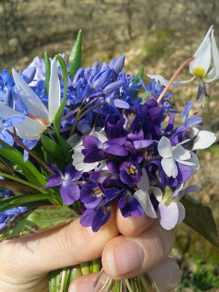 Organic Gardening with Kids. How to Make it Fun AND Rewarding!