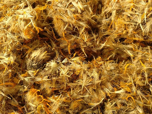 dried arnica flowers