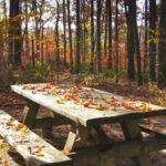 Simple Fall Activities to Celebrate Cooler Weather