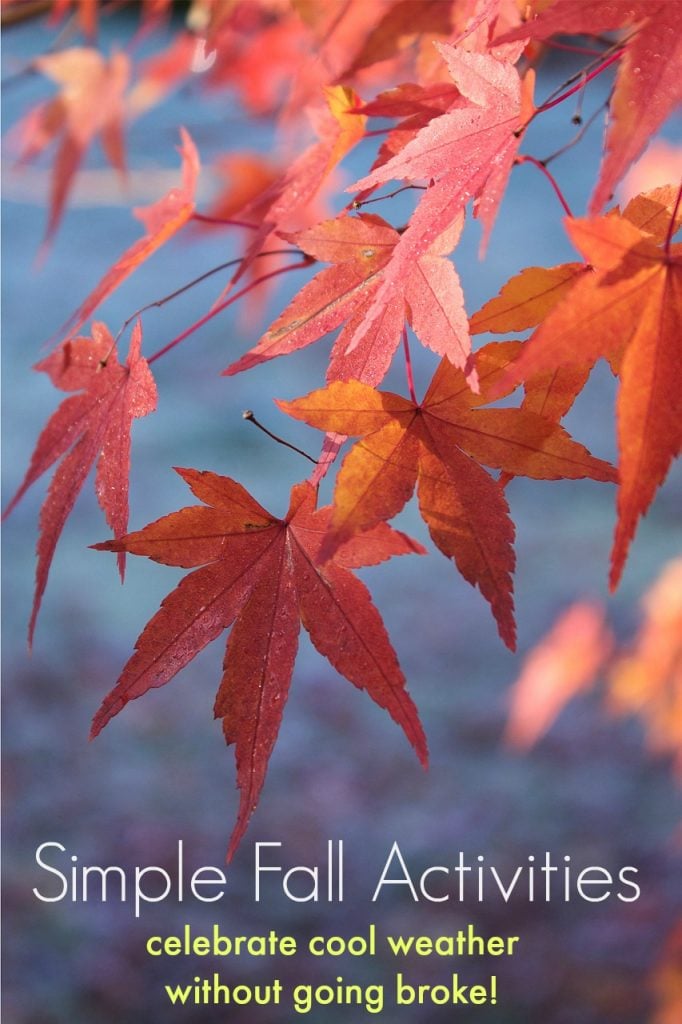 maple tree with orange leaves and text overlay 'Simple Fall Activities to Celebrate Cooler Weather'