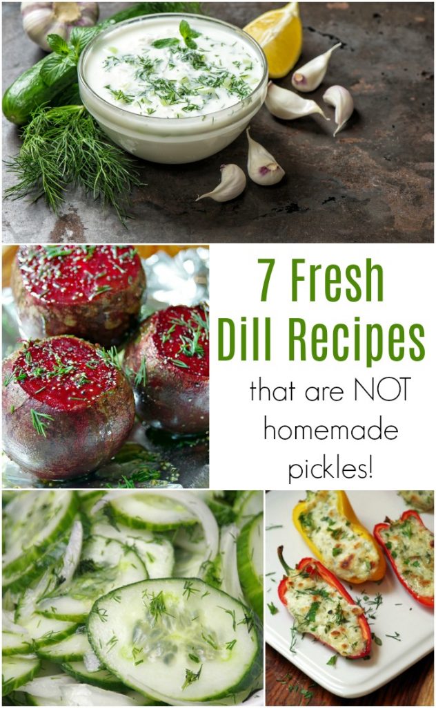 7 Fresh Dill Recipes that are NOT Homemade Pickles