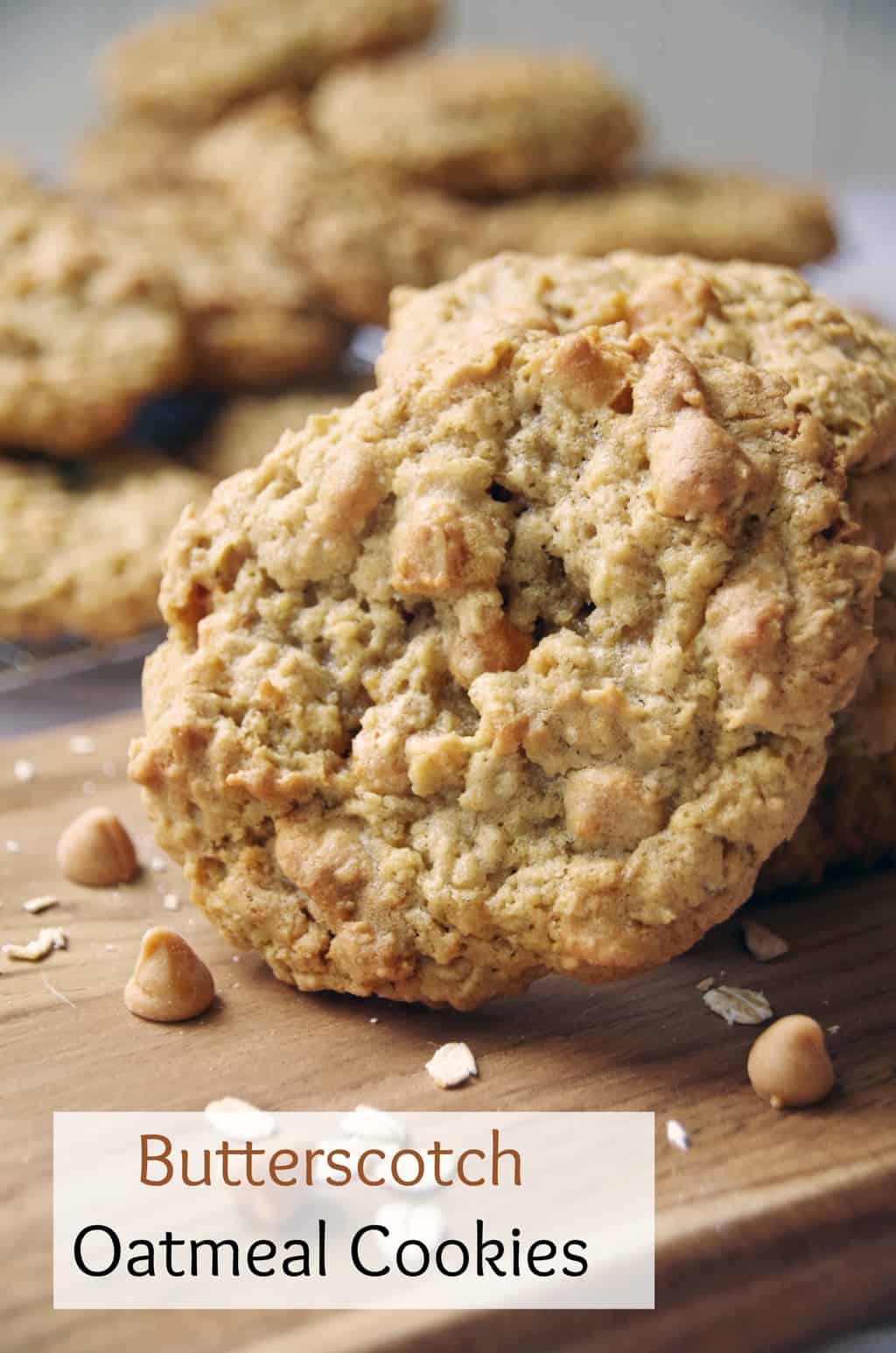Chewy Butterscotch Oatmeal Cookie Recipe Suburbia Unwrapped
