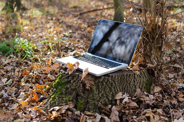 Computer in the Environment