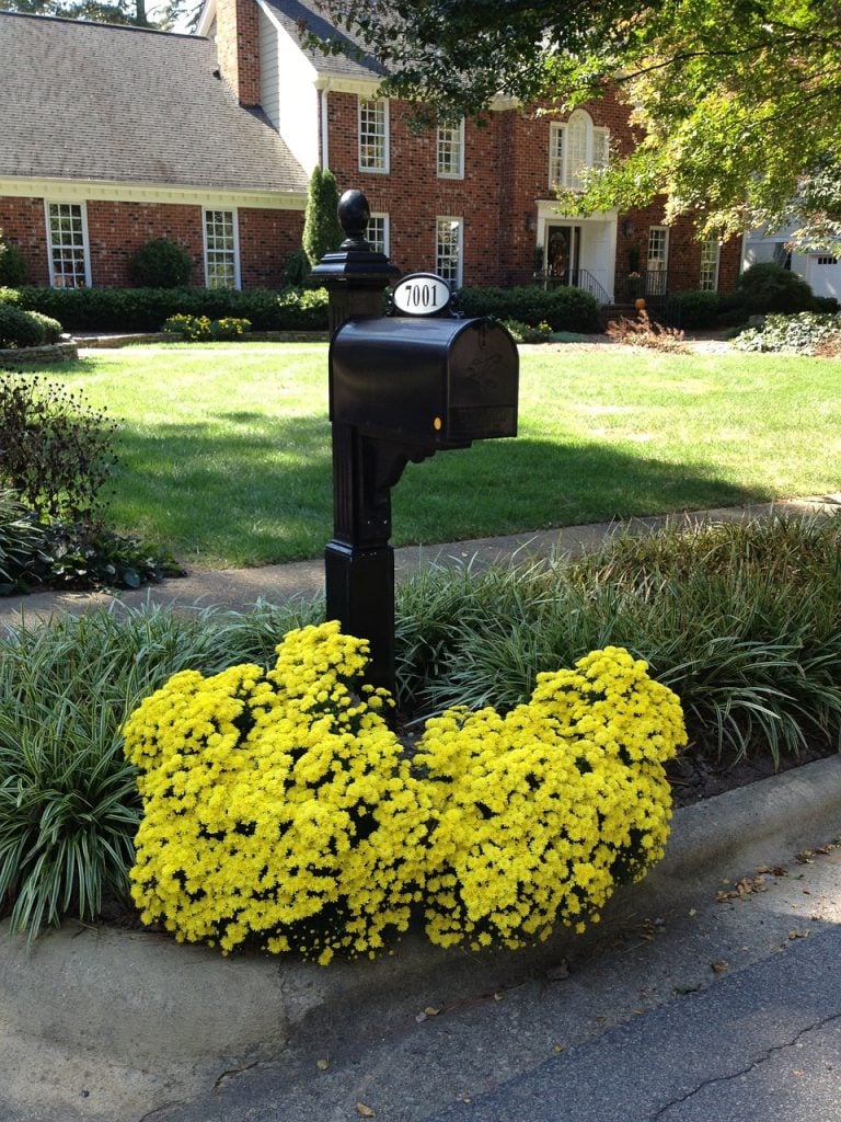 Mailbox Flowers