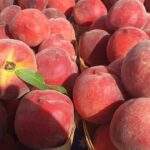 Easiest Way To Peel Peaches and 5 Delicious Peach Recipes